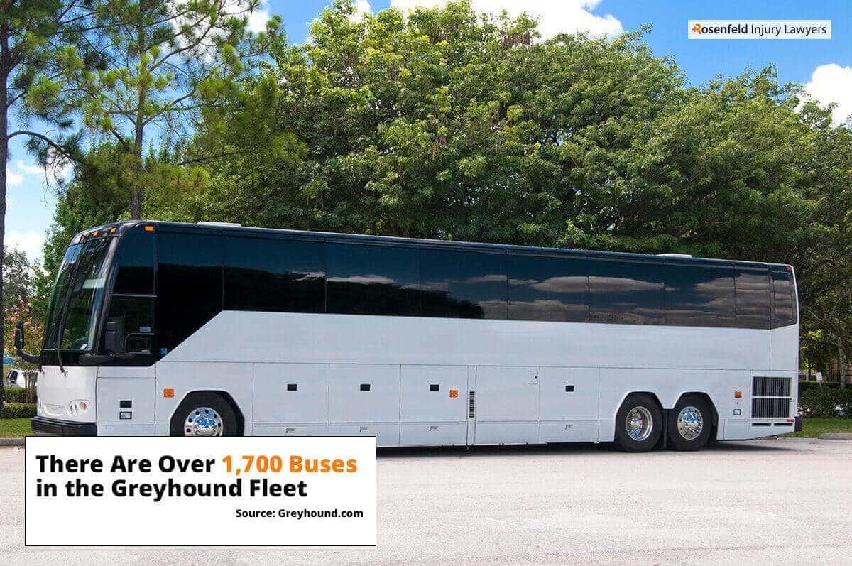 Greyhound Bus Crash Law Firm